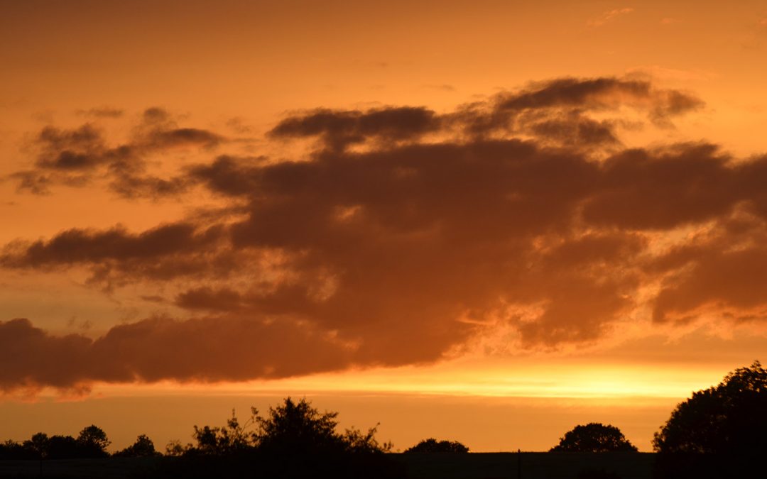 VIDEO : LA VIE DU COEUR SPIRITUEL